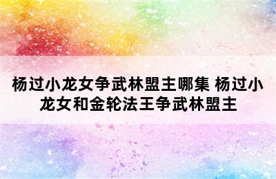 杨过小龙女争武林盟主哪集 杨过小龙女和金轮法王争武林盟主